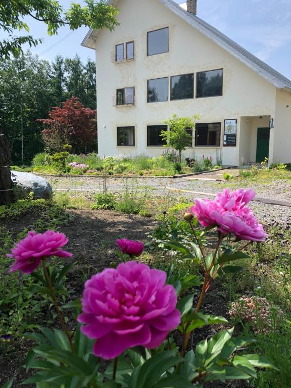Auberge-Ninguruforet Auberge Ninguruforet