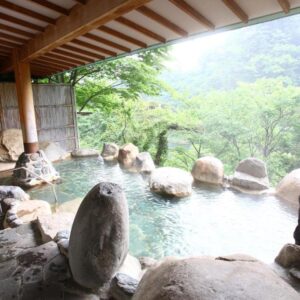 Hotel New Ohruri