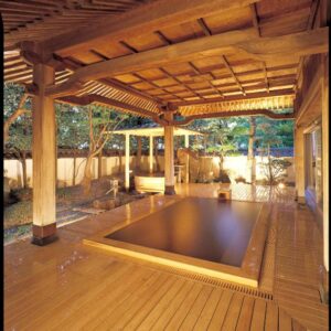 Hotel Saginoyu