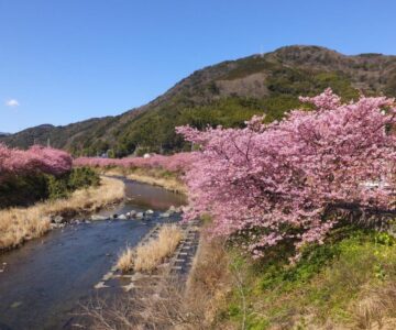 Ito Kowakien