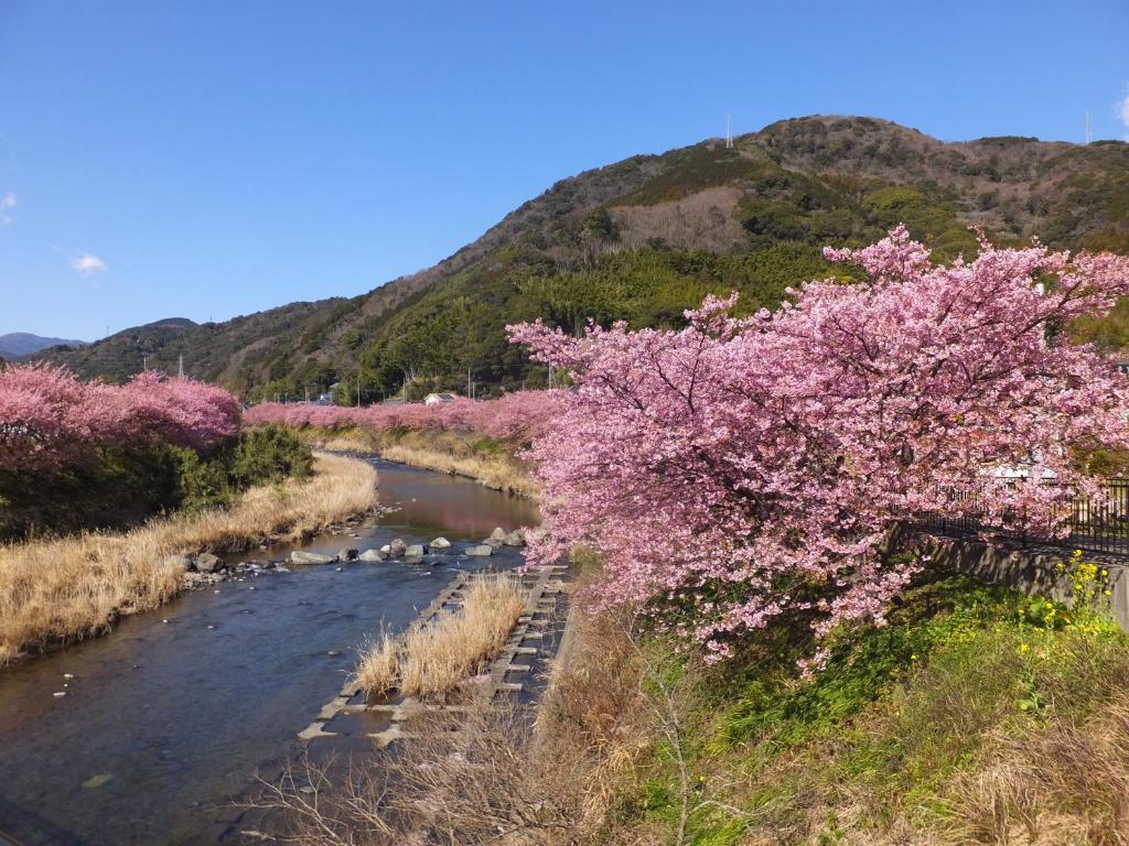 Ito-Kowakien Ito Kowakien