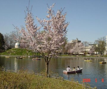 Mimatsuso Ryokan