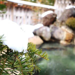 Snow-covered pine over a rock-lined onsen at Miyamaso in Gifu, Chūbu, Japan