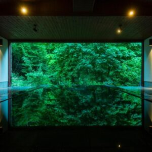 Reflective indoor bath framed by large window showing lush forest at Myojinkan, Nagano, Chūbu
