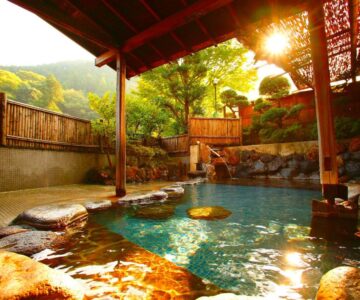 Sakaya Ryokan Yoshina Onsen