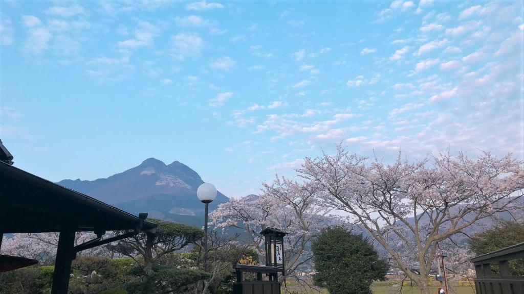 Sanso-Tanaka Sanso Tanaka