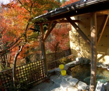 Sawatari Onsen Miyataya Ryokan