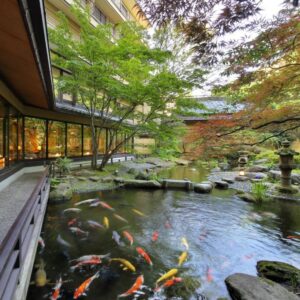 Koi pond with carp, wooden veranda and garden trees beside Tachibanaya ryokan in Yamagata, Tōhoku