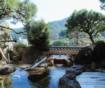 Wakamatsu HakoneYugawara