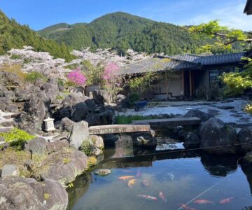 Suikōen Sakura