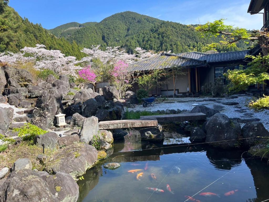 Koi pond garden at Suikōen Sakura Shizuoka Koi pond with carp, stone bridge, blooming cherry trees and mountain backdrop at Suikōen Sakura, Shizuoka
