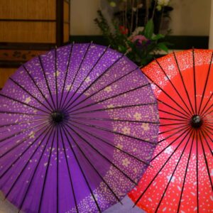 信州安曇野穂高温泉郷 旅館 山のたこ平