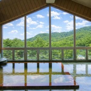 Spacious indoor onsen bath with floor-to-ceiling windows and forested mountain views at Matsutake Sansō, Nagano